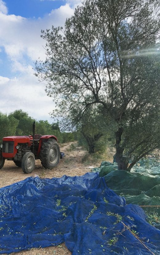 WhatsApp Görsel 2025-09-08 saat 20.59.33_e048bd33